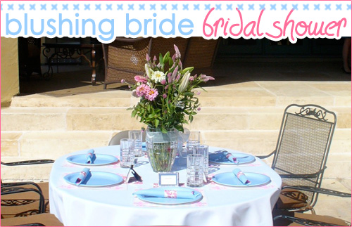 Blushing Bride Bridal Shower I decided on the blue and pink color scheme and